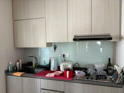 Blk 42A Skyoasis @ Dawson (Queenstown), HDB 3 Rooms #511934361